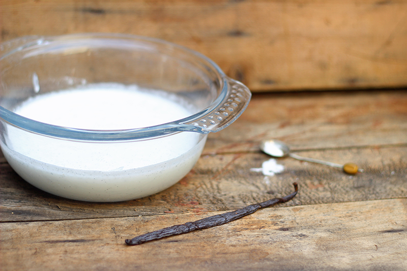 making coconut milk yoghurt